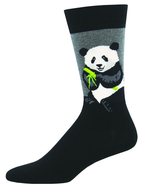 Panda, Bear, Furry, Relax, Bamboo, Chinese, Animals, Wild, Panda Bear